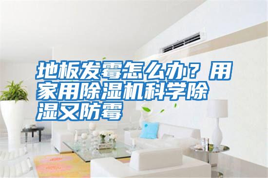 地板發霉怎么辦？用家用除濕機科學除濕又防霉