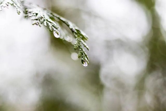 空氣濕度大帶來的危害有哪些，你知道嗎？