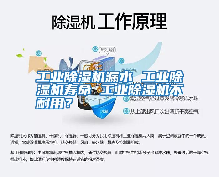 工業除濕機漏水 工業除濕機壽命 工業除濕機不耐用？