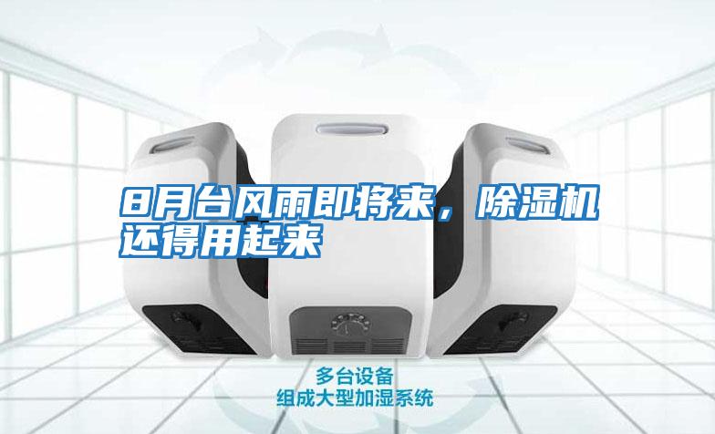 8月臺風雨即將來，除濕機還得用起來