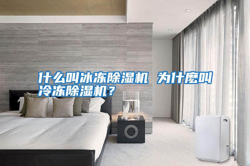 什么叫冰凍除濕機(jī) 為什麼叫冷凍除濕機(jī)？