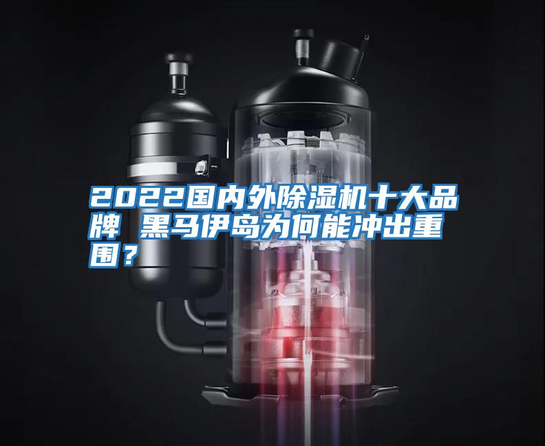 2022國內外除濕機十大品牌 黑馬伊島為何能沖出重圍?