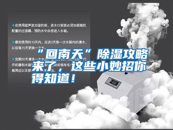“回南天”除濕攻略來了，這些小妙招你得知道！