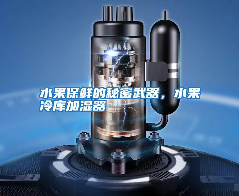 水果保鮮的秘密武器，水果冷庫加濕器