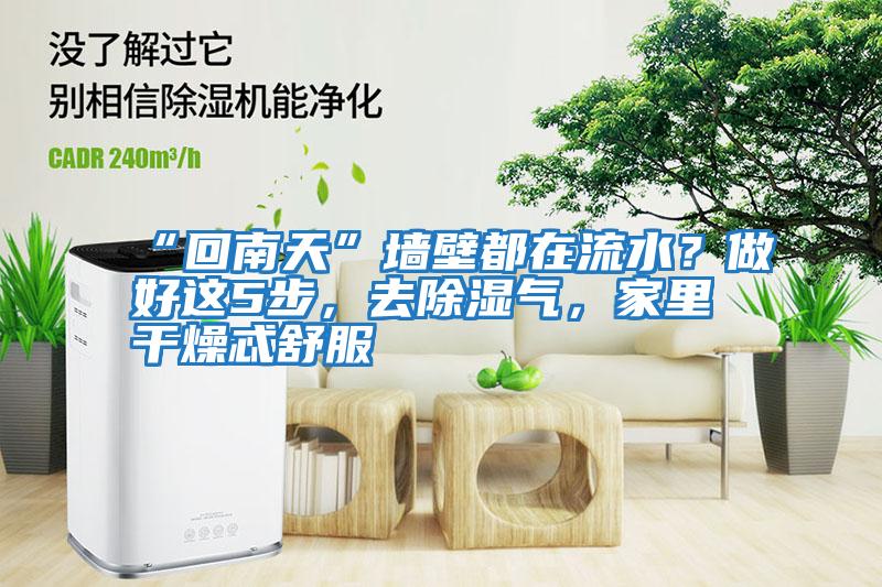 “回南天”墻壁都在流水？做好這5步，去除濕氣，家里干燥忒舒服