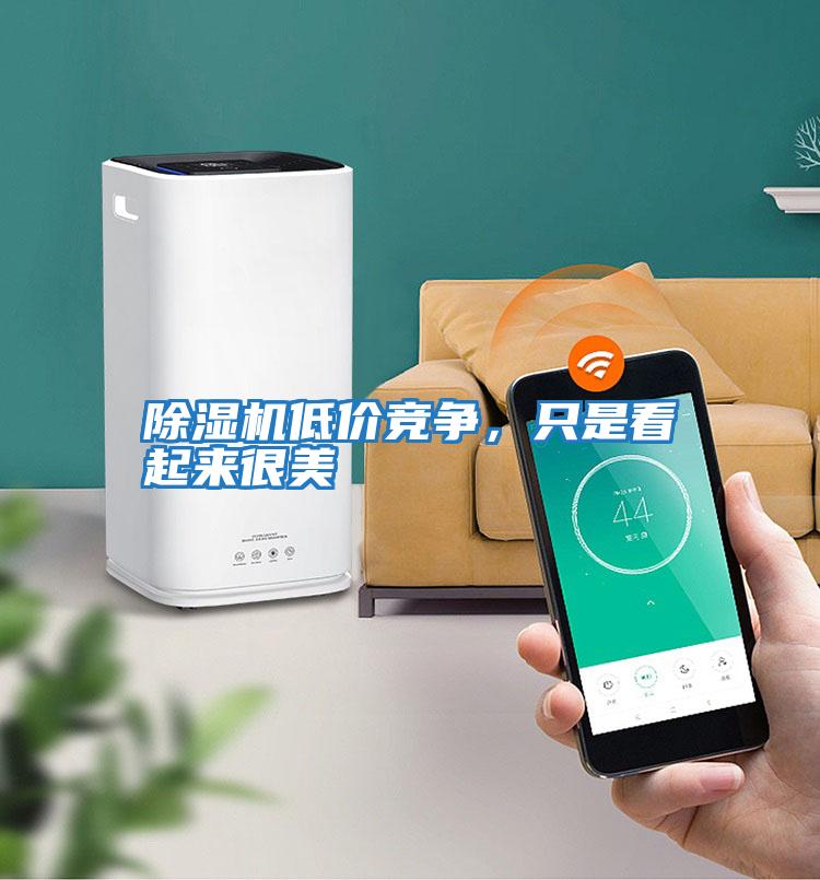 除濕機(jī)低價(jià)競(jìng)爭(zhēng),只是看起來(lái)很美