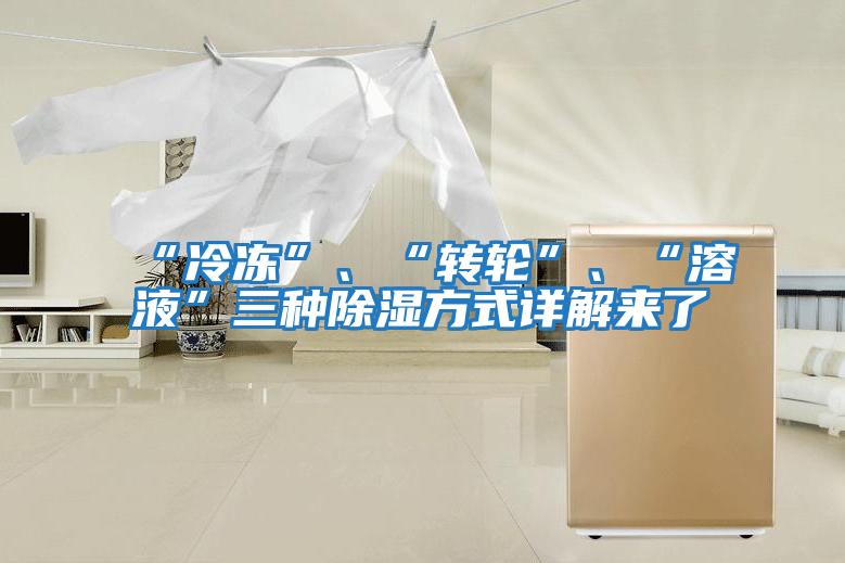 “冷凍”、“轉(zhuǎn)輪”、“溶液”三種除濕方式詳解來了