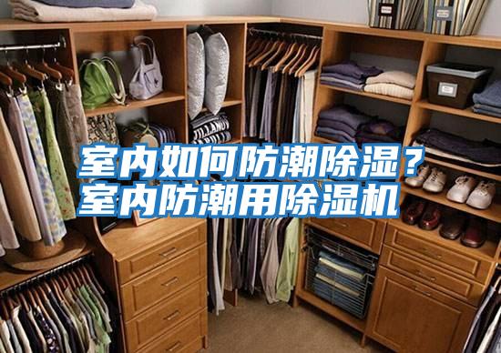 室內如何防潮除濕？室內防潮用除濕機