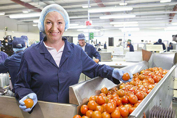 食品加工行業(yè)中除濕機的地位有多重要_重復