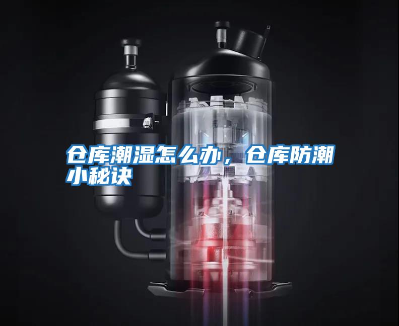 倉庫潮濕怎么辦，倉庫防潮小秘訣