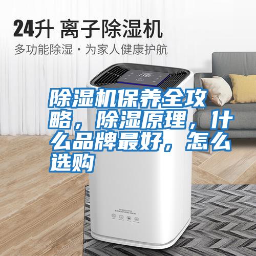 除濕機保養全攻略，除濕原理，什么品牌最好，怎么選購