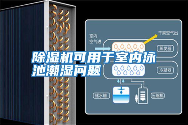 除濕機可用于室內(nèi)泳池潮濕問題