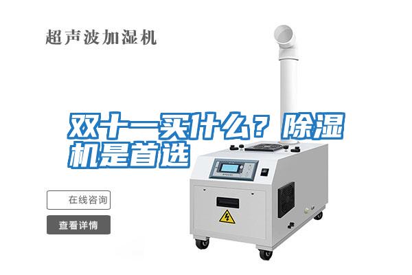 雙十一買什么？除濕機是首選