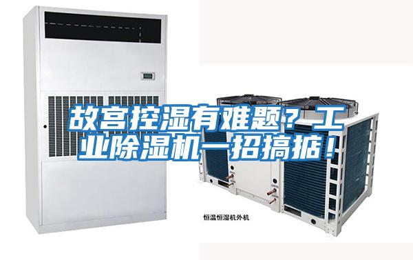 故宮控濕有難題？工業(yè)除濕機(jī)一招搞掂！
