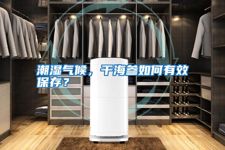 潮濕氣候，干海參如何有效保存？