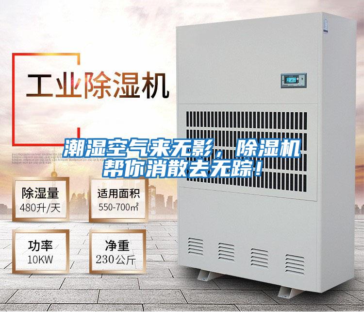 潮濕空氣來無影，除濕機幫你消散去無蹤！