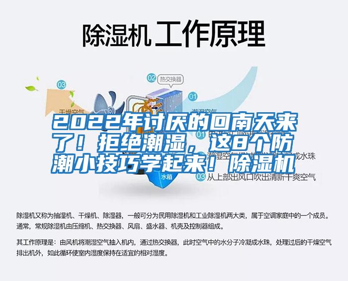 2022年討厭的回南天來了！拒絕潮濕，這8個防潮小技巧學起來！除濕機
