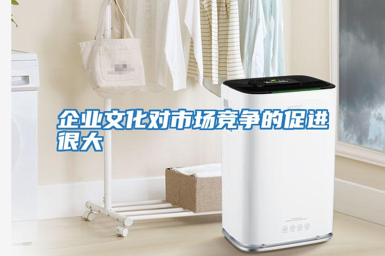 企業(yè)文化對(duì)市場(chǎng)競(jìng)爭(zhēng)的促進(jìn)很大