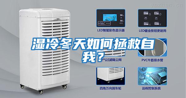 濕冷冬天如何拯救自我？