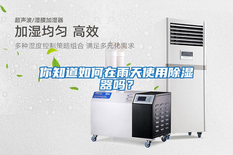 你知道如何在雨天使用除濕器嗎？