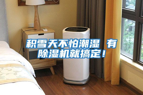 積雪天不怕潮濕 有除濕機就搞定！