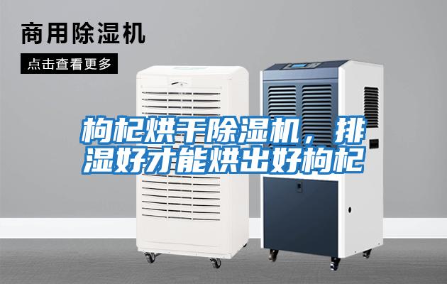 枸杞烘干除濕機,排濕好才能烘出好枸杞