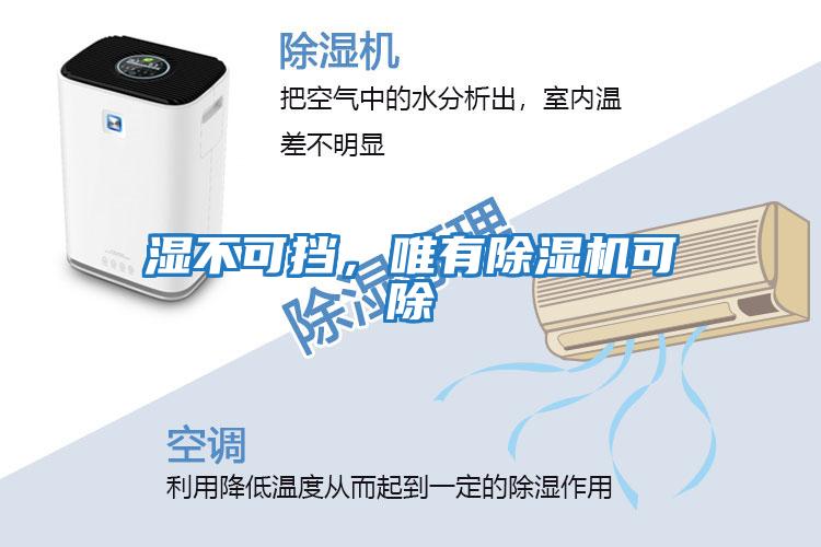 濕不可擋，唯有除濕機可除