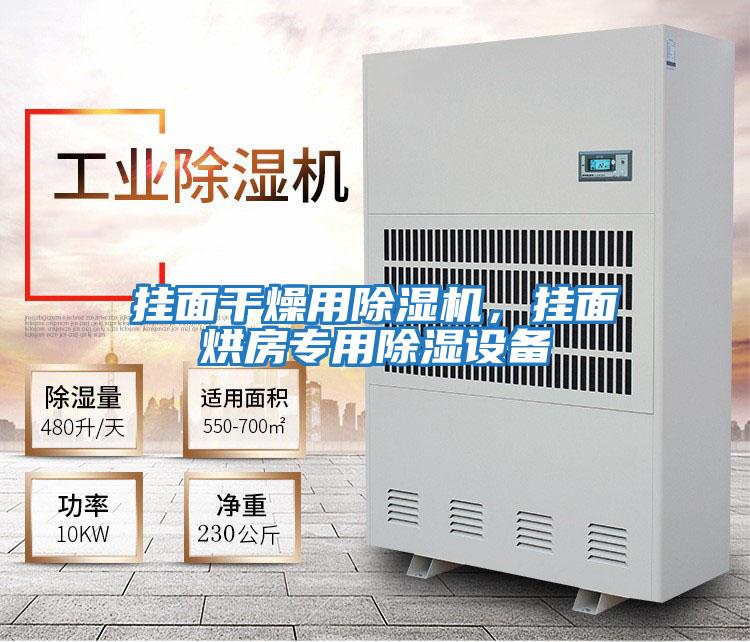 掛面干燥用除濕機，掛面烘房專用除濕設備