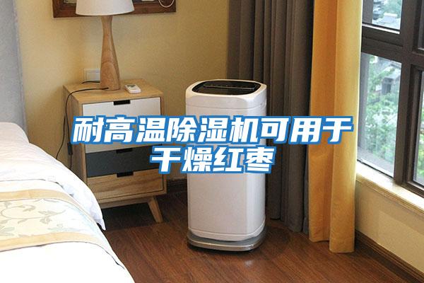 耐高溫除濕機可用于干燥紅棗