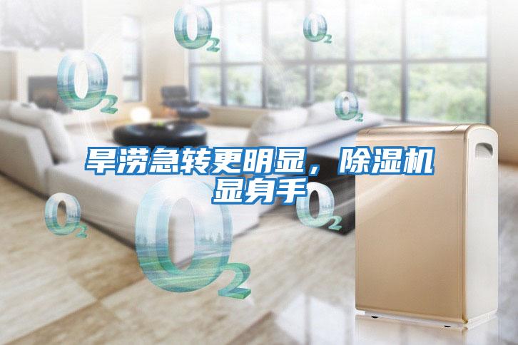 旱澇急轉更明顯,除濕機顯身手