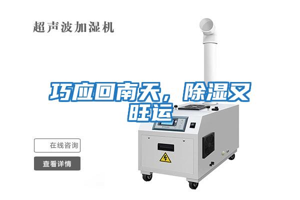 巧應(yīng)回南天,除濕又旺運