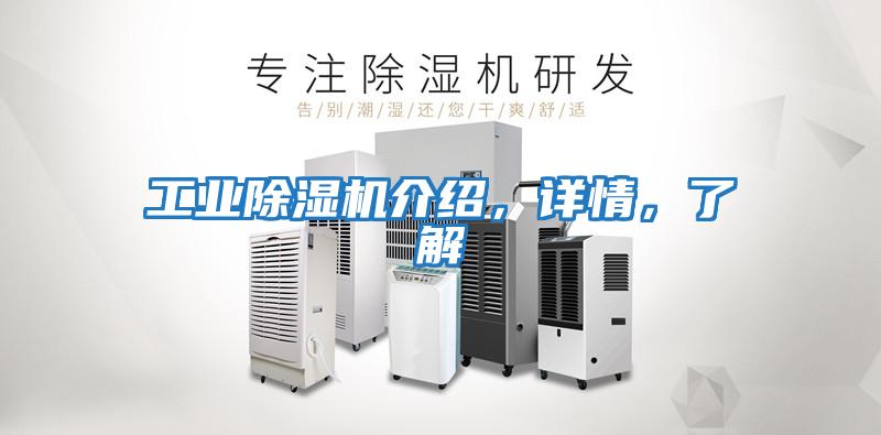 工業(yè)除濕機(jī)介紹，詳情，了解