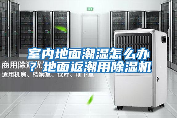 室內地面潮濕怎么辦？地面返潮用除濕機