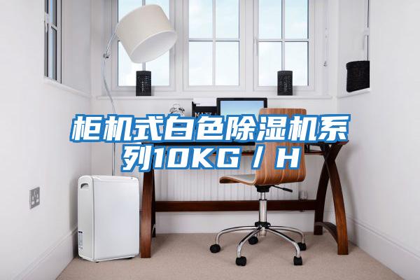 柜機(jī)式白色除濕機(jī)系列10KG/H