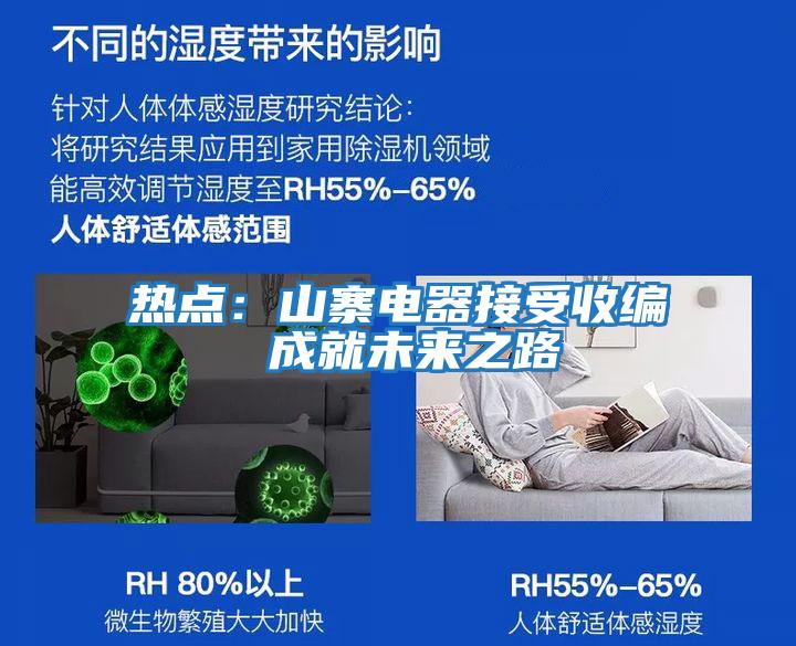 熱點(diǎn):山寨電器接受收編 成就未來之路