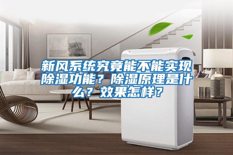 新風系統究竟能不能實現除濕功能？除濕原理是什么？效果怎樣？