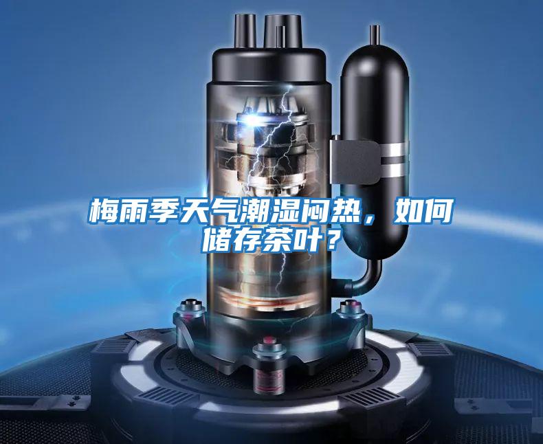 梅雨季天氣潮濕悶熱，如何儲存茶葉？