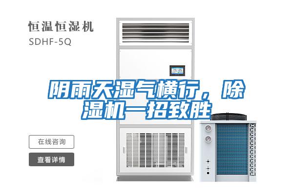 陰雨天濕氣橫行，除濕機一招致勝