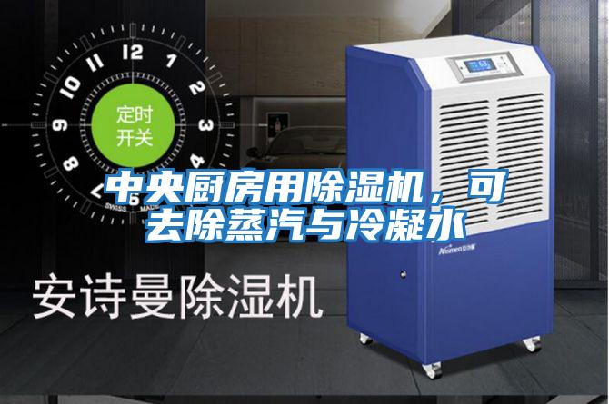 中央廚房用除濕機(jī),可去除蒸汽與冷凝水