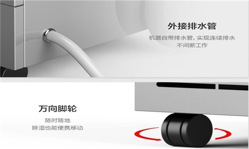 梅雨季節(jié)買什么鮮花比較好保存?