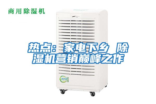 熱點(diǎn):家電下鄉(xiāng) 除濕機(jī)營(yíng)銷(xiāo)巔峰之作