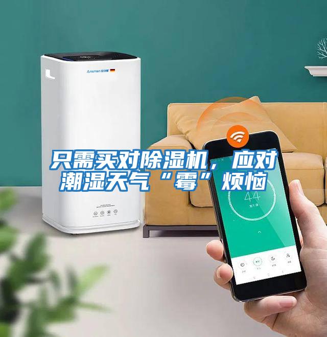 只需買對除濕機(jī)，應(yīng)對潮濕天氣“霉”煩惱