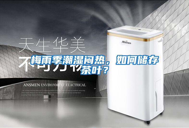 梅雨季潮濕悶熱，如何儲存茶葉？