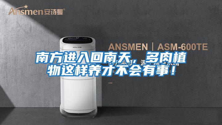 南方進入回南天，多肉植物這樣養才不會有事！