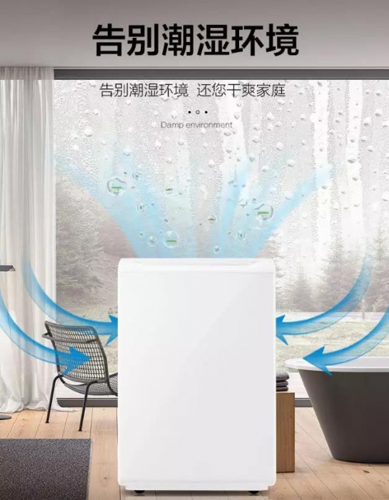 南方進入回南天，多肉植物這樣養才不會有事！