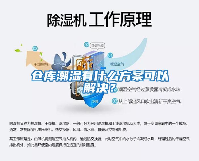 倉庫潮濕有什么方案可以解決?