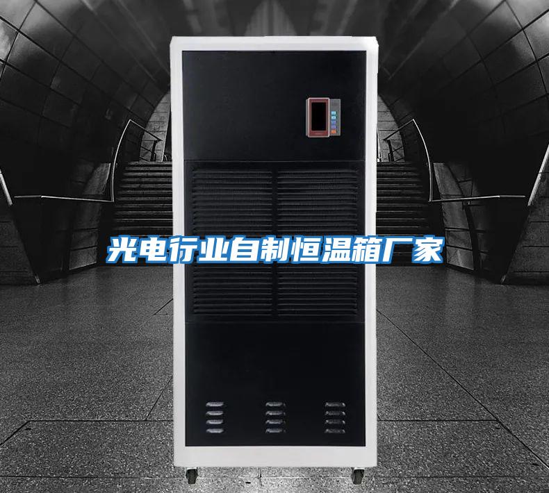 光電行業自制恒溫箱廠家