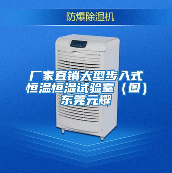 廠家直銷大型步入式恒溫恒濕試驗室(圖)東莞元耀