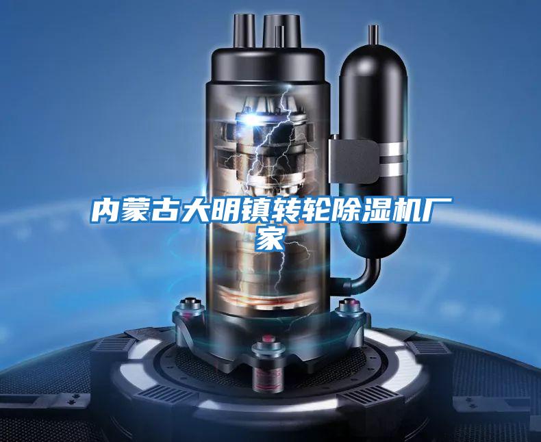 內(nèi)蒙古大明鎮(zhèn)轉輪除濕機廠家