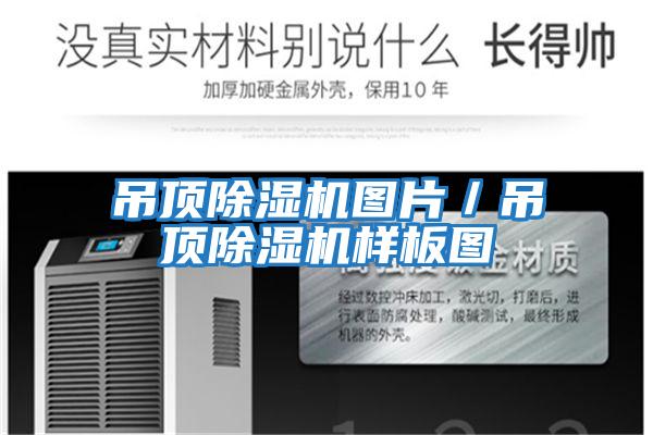 吊頂除濕機圖片/吊頂除濕機樣板圖